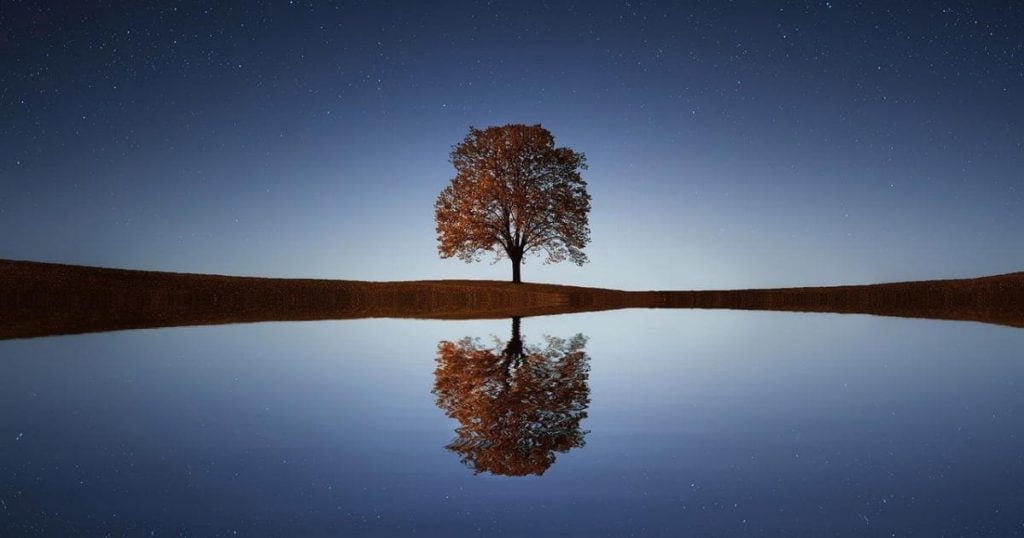 Looking for vitality in Midlife? Then enter the Fertile Void