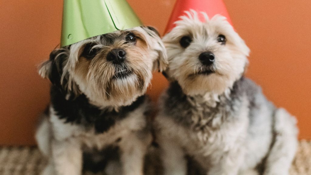 Why am I unhappy in retirement?